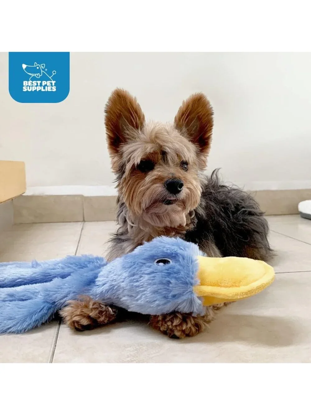 New Crinkle Dog Toy for Small, Medium, and Large Breeds, Cute No Stuffing Duck